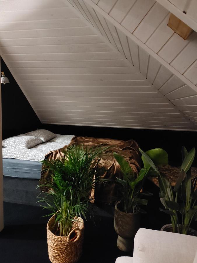 Apartament Lipowa 3 Мронгово Экстерьер фото